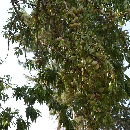Country Stone House ,next To Kalawrita