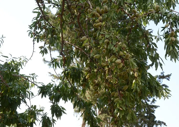 Country Stone House ,next To Калаврита